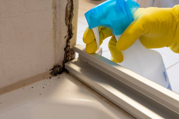 Best Office Mold Removal Services  in Arcade, GA